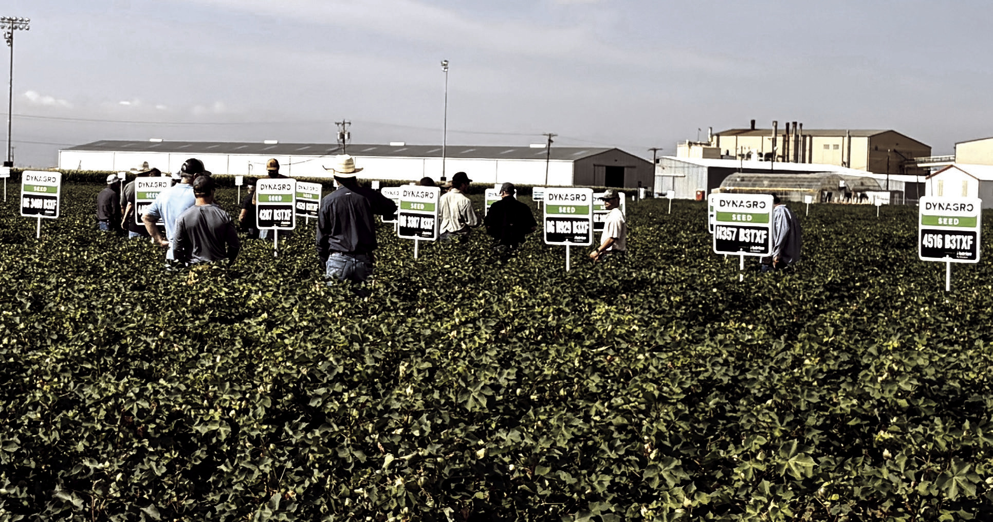 Nutrien Ag hosted tours for farmers and ranchers at innovation farms in Levelland, Lubbock and New Mexico featuring the latest advancements in agronomy, precision agriculture, irrigation manament and data-driven farming solutions.