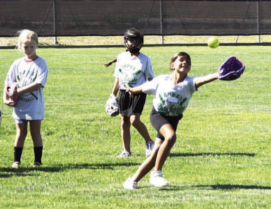 SNAG A FLY BALL