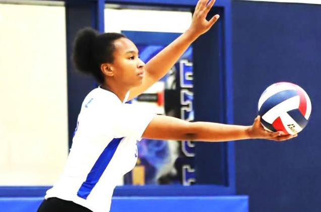 Smyer Lady Cats topple Muleshoe Lady Mules, 3-0