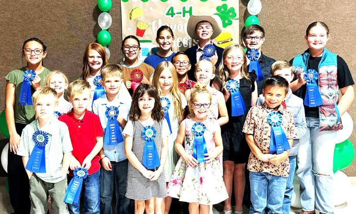 The Hockley County 4-H Food Show was hosted by the Ropes 4-Club and Ropes Methodist Church. Judges for the event were Donna Pugh, Kristi Chase, Judy Gray, Maryan Moore, Jacque Myatt, and Amber Lambright. The theme for the show was 4-H Flavor on Wheels.