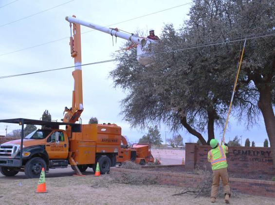 WINDY CITY - With the windy weather the area has been facing throughout the week, Asplundh and several crews from the company were working on cutting down broken tree limbs. Pictured is Kevin Burbin and Mario Montes working on cutting and seperating tree limbs from power lines at the City of Levelland Cemetery Thursday morning. (Staff photo by Victoria Byrnes)