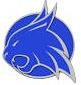 Smyer falls to Plains, 61-20