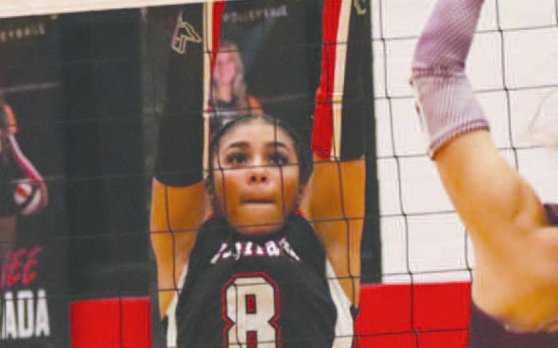 RISE UP - Levelland Loboette Mia Sepulbeda got vertical to block the Littlefield Lady Cub shot this past Tuesday at home. (Staff photo by Aalijah Soliz)