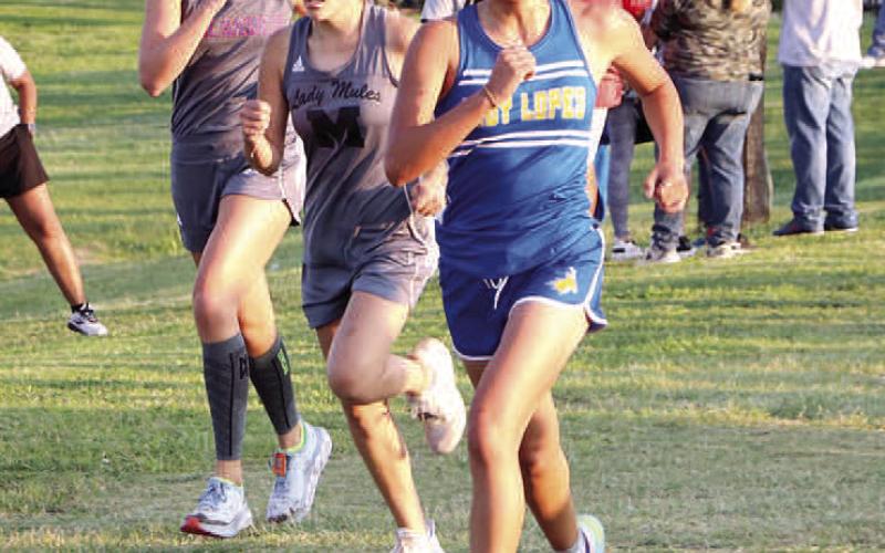 LADYANTELOPERUNNER- Whiteface Lady Antelope Anais Soliz competed at the LCU Chap Invite at Lubbock Christian University last weekend. The Whiteface cross country team will be back in action at Whitharral Saturday September 17. (Photo Courtesy of Whiteface ISD)