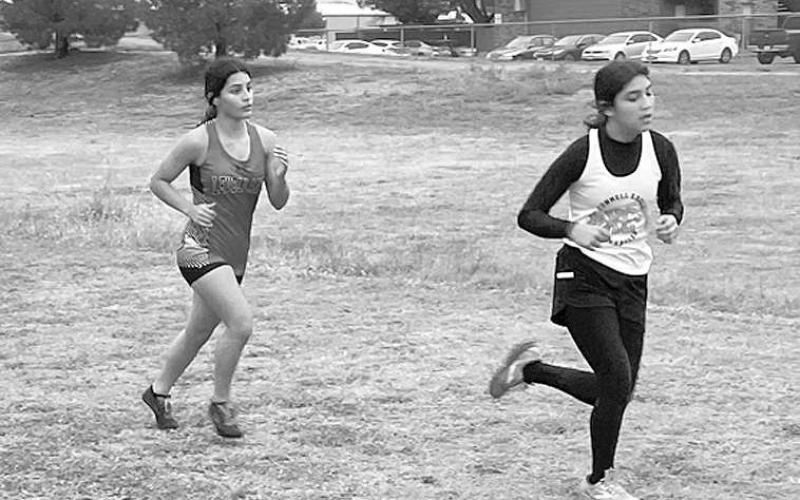 Levelland cross country competes