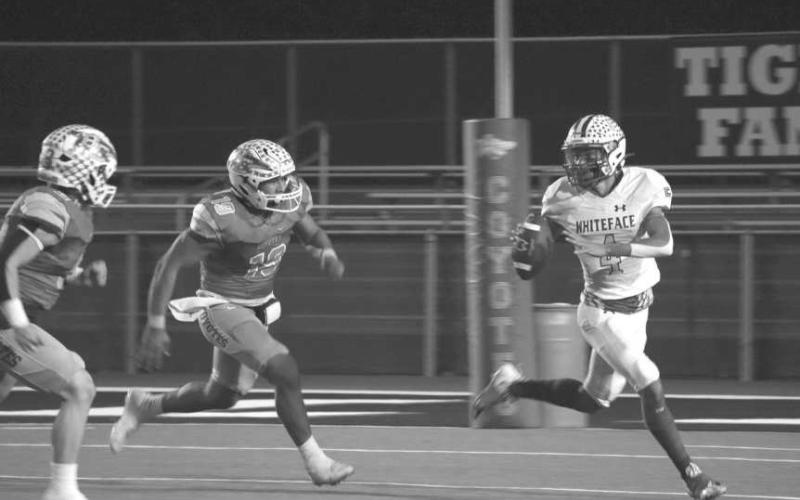 ESCAPE ARTIST - Whiteface quarterback Jeremiah Rendon escaped the Coyote pass rush to make a throw on the run. (Staff photo by Aalijah Soliz)
