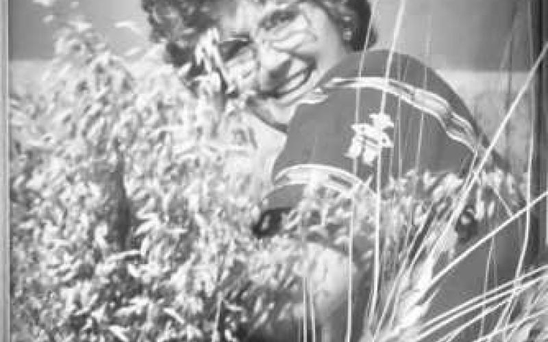 Anita Hamill Carter