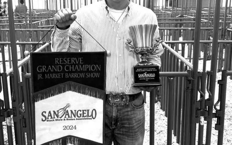 RESERVE GRAND CHAMPION