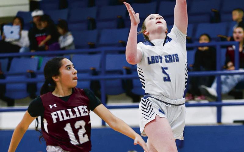 LEADING SCORER - Smyer sophomore Ellie Nelson floats up a shot on the move during their game against Bovina this past Tuesday at Smyer High School. Nelson would lead the Lady Cats in scoring with 24 points on the night. (Photo provided by Smyer ISD)