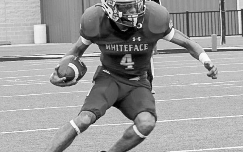SIDE STEP - Whiteface Antelope Jeremiah Rendon juked to the inside of the field during the team’s semifinal game against Water Valley in Lamesa. The Antelopes play for the State Championship today in Dallas at 2 p.m. (Staff photo by Aalijah Soliz)