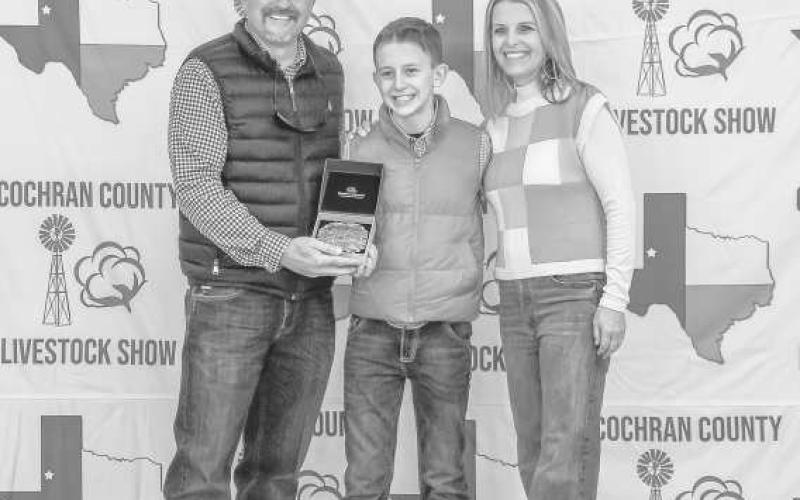 RESERVEGRANDCHAMPIONGILT- Parks Tucker received a buckle donated and presented by the Tucker Family for winning the Grand Champion Gilt at the Cochran County Junior Livestock Show and Sale. (Staff Photo By Essence Childers)
