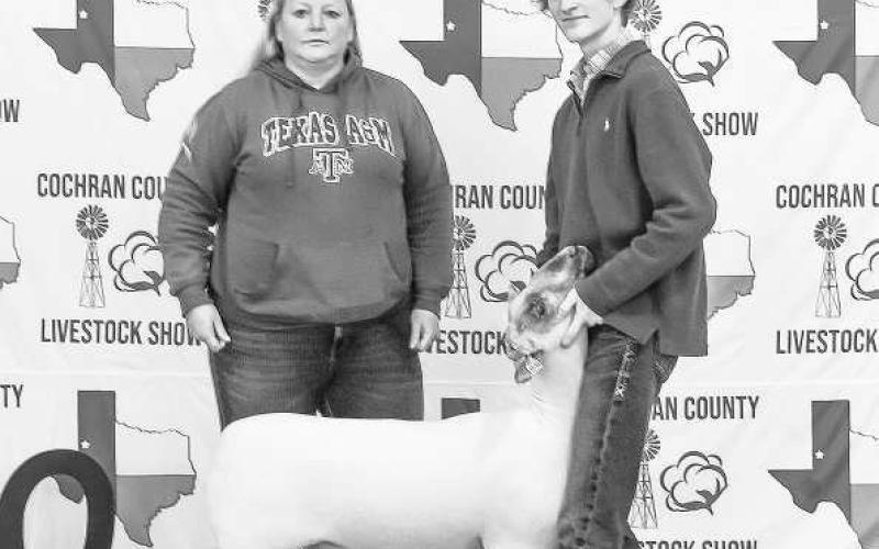 COCHRAN COUNTY LIVESTOCK SHOW - Spencer Aborn with the WF FFA participated in the Cochran County Livestock Show at the County Show Barn in Morton. The sale and awards were held this past Saturday in Morton. (Staff photo by Essence Childers)