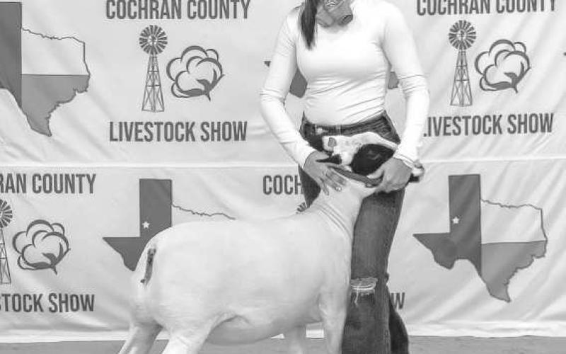 GOAT TIME - Mariyah Leaks with the WF FFA strikes a pose with her little companion at the Cochran County Livestock Show, held last Saturday at the County Show Bran in Morton. (Staff Photo By Essence Childers).