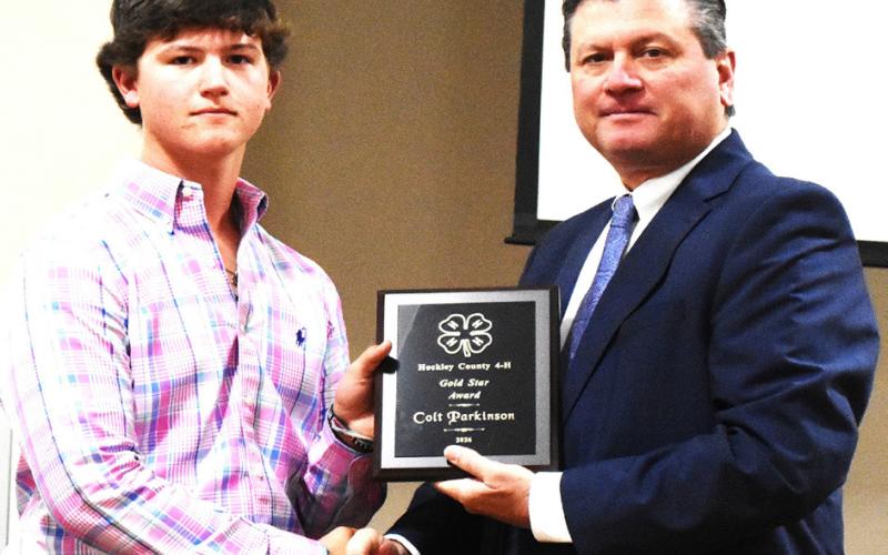 Hockley County 4-H Gold Star – Colt Parkinson