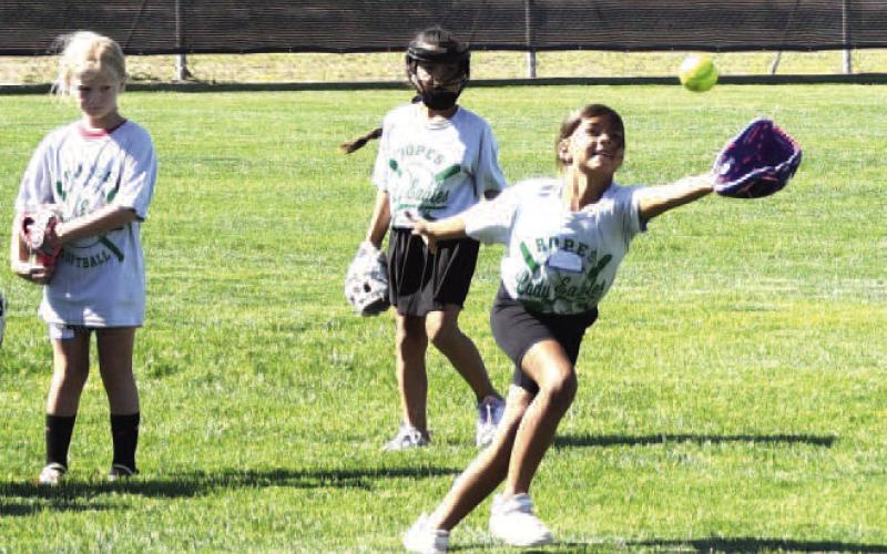 SNAG A FLY BALL
