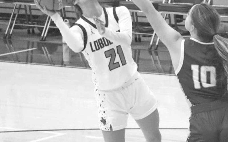 FADEAWAY - Levelland Loboette Carly Tienda shot the ball during the teams first game of the Littlefield Tournament against the Olton Phillies where they girls won 69-20. (Staff photo by Aalijah Soliz)