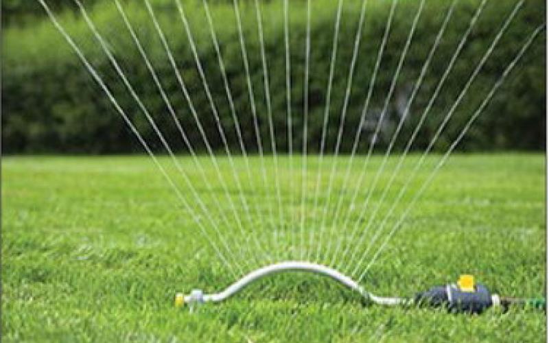 Signs lawn is not getting enough water