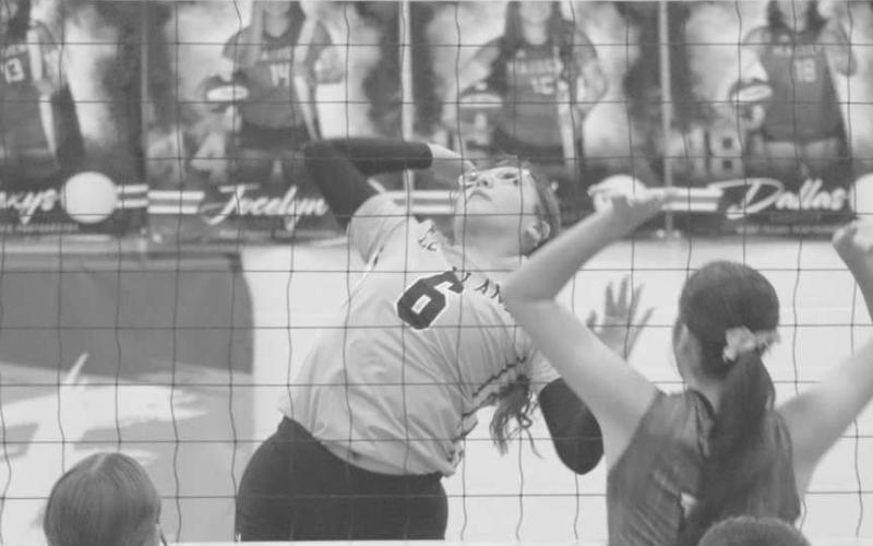 PERFECT FORM - Levelland Loboette Hailiee Estrada went up to spike the ball last Tuesday night against the Lake View Maidens on the road. (Staff photo by Aalijah Soliz)