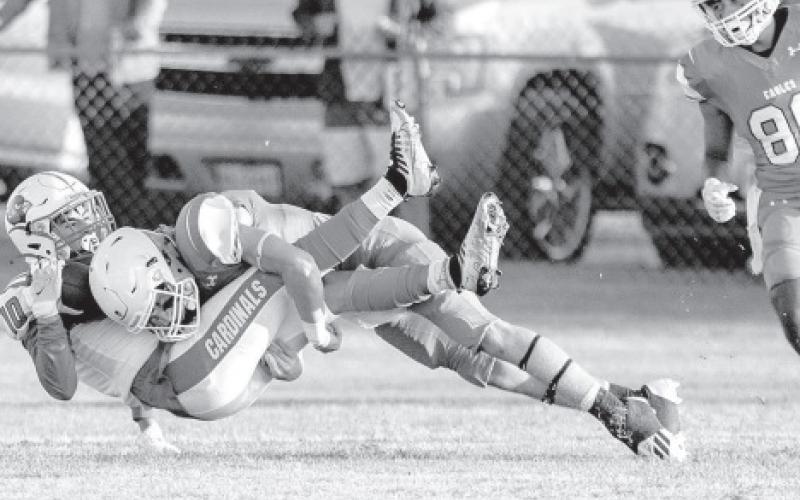 EAGLE TACKLE
