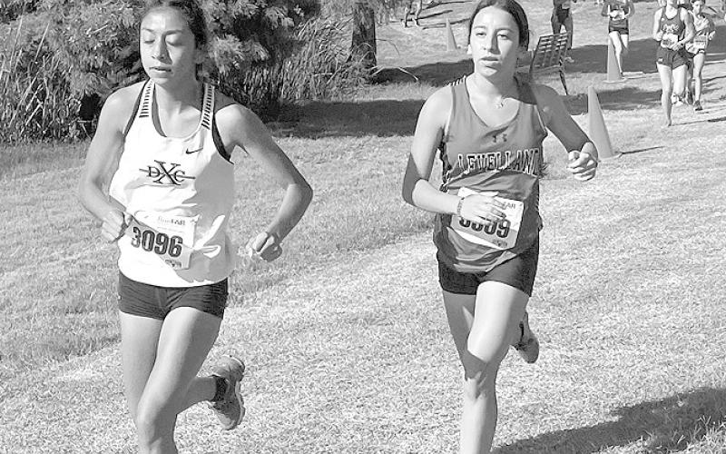 TOP 30 RUNNER-The Levelland High School cross country teams competed at the Lubbock Invitational at Lubbock Christian University last Saturday Morning. Levelland will be competing at the Slaton Invitational Saturday. The race will take place at the Old Slaton Golf Course. Evelyn Mendias, placed 28th with a time of 13:52. (Photo Courtesy of Critsal Isaacks)