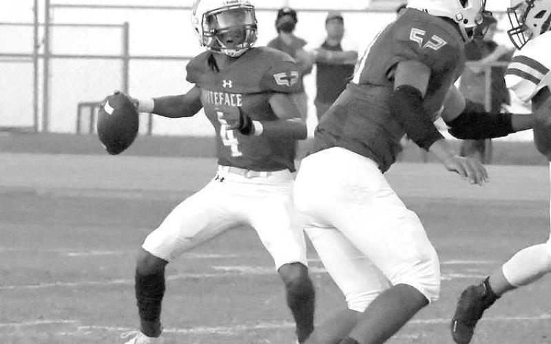 ANTELOPE QB1