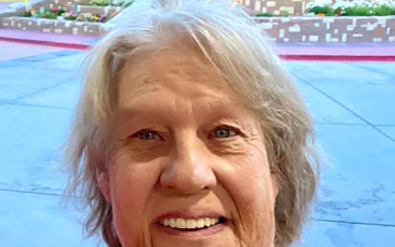 Sandra Sue Braddock-Bishop