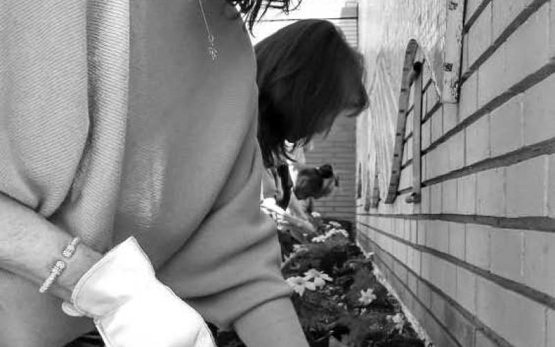 A GREAT CAUSE - Levelland Chamber of Commerce Marigold organization plants Marigold flowers to celebrate Earth Day. Earth Day is celebrated to encourage people to protect the planet from things like pollution and deforestation. Pictured is Iris Keeling planting her portion of the Marigold’s in the front of the Chamber building. (Staff Photo by Victoria Byrnes)