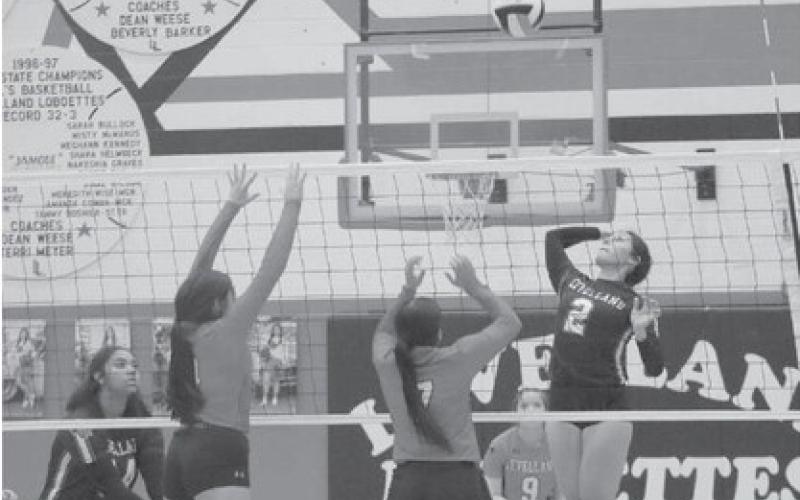 MOONSHOT - Taylyn Ledesma of the Loboettes sent a shot over the net that was setup for her perfectly to do so by her teammates. (Staff photo by Aalijah Soliz)