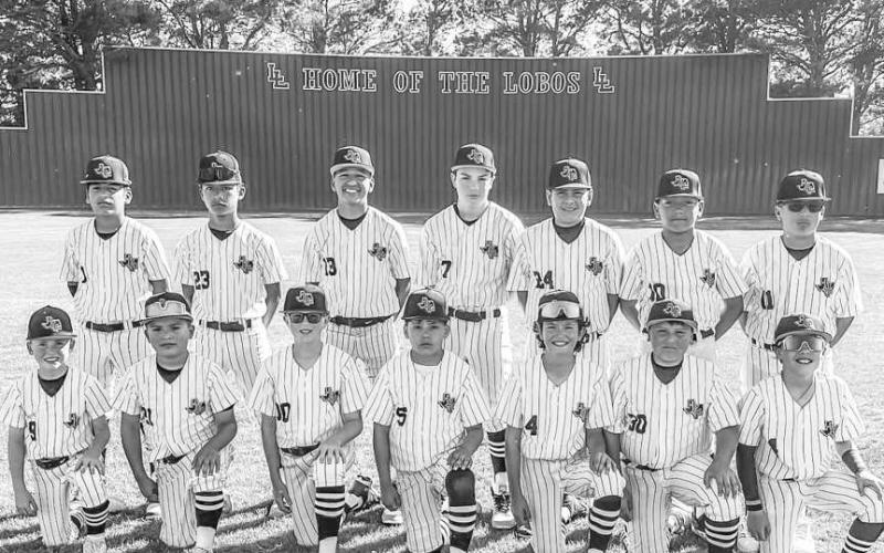 MAJOR LEAGUE - The Levelland Major League All-Stars for the Youth Baseball League qualified for Regionals and will play in Starkville, MS on July 18 through the 21. Pictured from left to right in the back row are: Bash Bordayo, Colby Sainz, Bentley Gamez, Kace Johnson, Ian Olivo, Darron Smith and Alex Moreno. From left to right in the front row are: Hunter Tomasini, Nehemiah Saucedo, Colton Buxkemper, Noah Mireles, Ian Tucek, Gael Santos and Logan Brown. Not pictured is Malaki Mancillas. Coaches include: Ve
