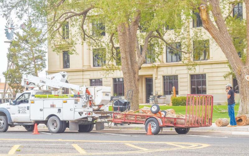 TREE MAINTENANCE- Tree Loving Care was on sight trimming tree limbs around the Hockley County Courthouse lawn on Saturday. A wood chipper was also being used for clearing out the limbs. Community members are encouraged to fill out applications for events if they choose to utilize the courthouse lawn. (Photo courtesy of Emily Campos)
