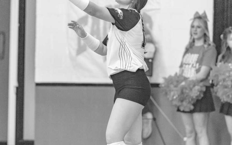 SERVE - Ropes Lady Eagle Braedyn Reyna served the ball against the Abernathy Lady Lopes this past Tuesday in the team’s 3-0 win. (Photo courtesy of Donovan Martin)