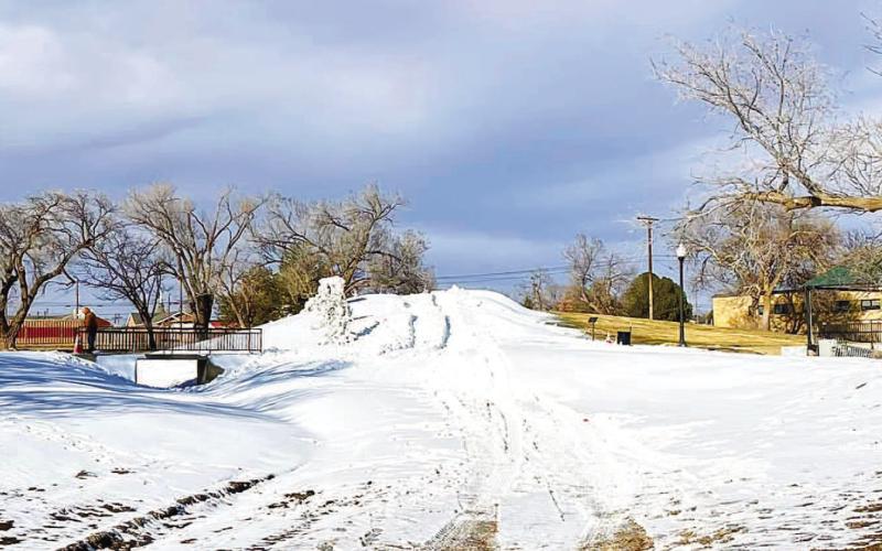 ONE LAST TRIP DOWN THE SLED HILL