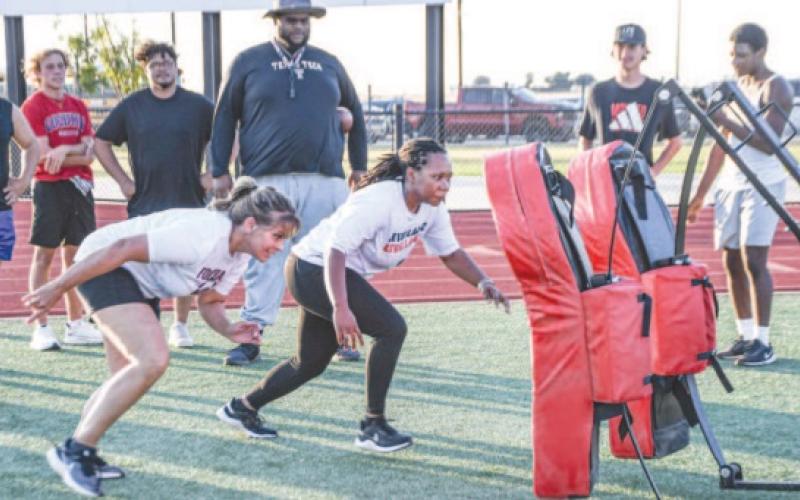 PUSHIN’ SLEDS