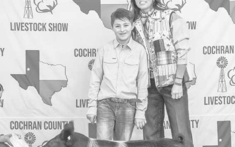 SHOWING SWINE - Sterling Evans with Cochran County 4H participted in the Cochran County Livestock Show this past Saturday. The event was held at the County Show Barn in Morton. (Staff photo by Essence Childers).
