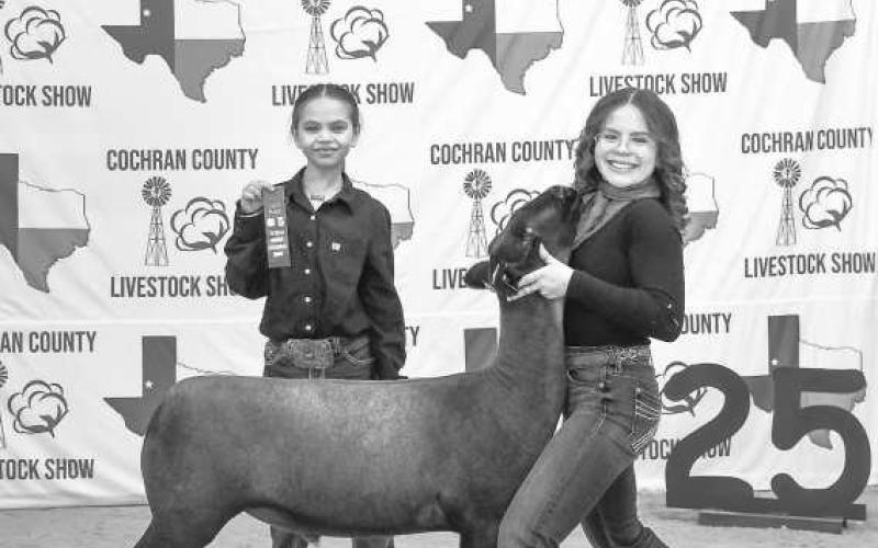 AWARDS, AWARDS, AWARDS! - Briley Siemens poses with her goat as Brecken Gates holds her award for her. Siemens and Gates participated along with a host of other kids this past weekend.(Staff photo by Essence Childers).