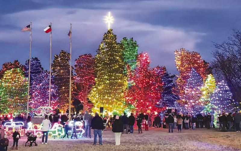 SPC TREE LIGHTING
