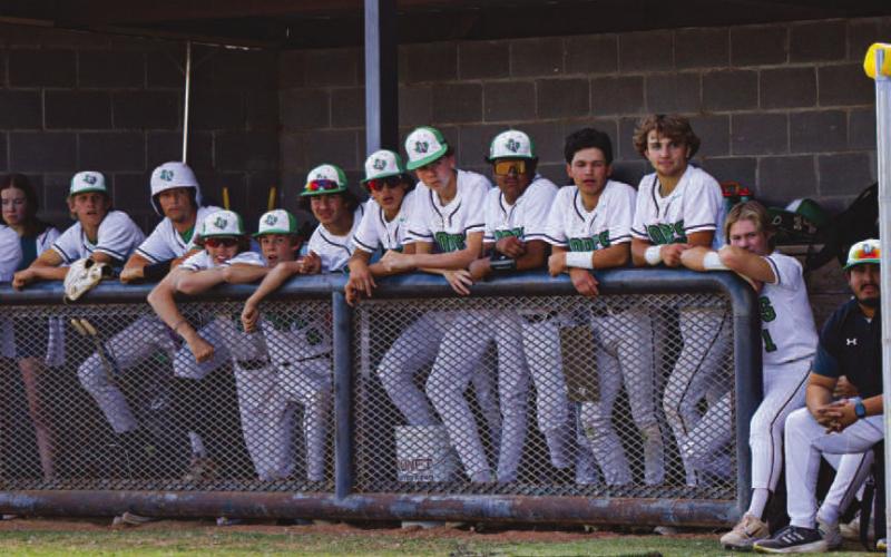 TEAM WORK - The Ropes Eagles watched their teammates at the plate during their New Home contest this past Tuesday at home. (Staff photo by Aalijah Soliz)