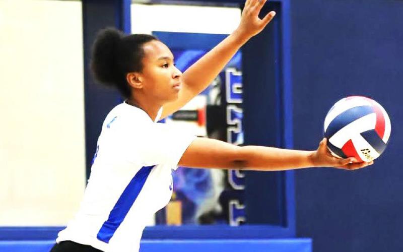 Smyer Lady Cats topple Muleshoe Lady Mules, 3-0