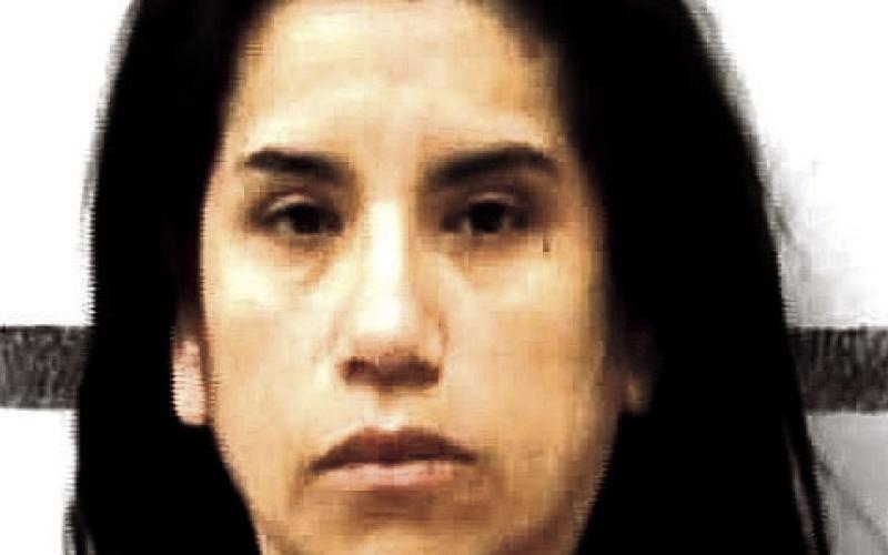 Levelland woman to serve 46 months