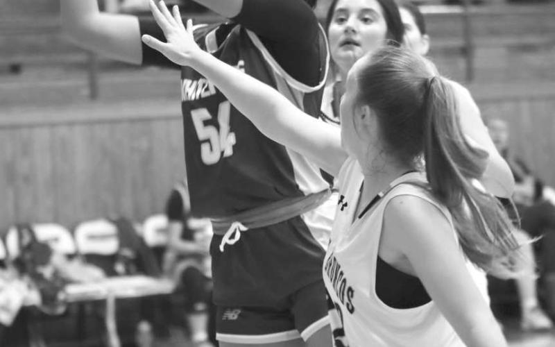 Timmyah Olenga had 10 points for the Whiteface Lady Lopes in a 60-30 UIL District 7-1A road win over the Meadow Lady Broncos last Tuesday in the opening round of district play. The Lady Lopes will host Stanton in a non-district game at 2 p.m. on Friday. (Photo by Holly Crutcher)