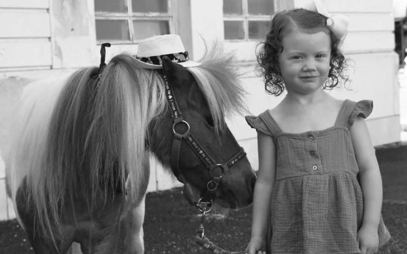 CRACKER JACK - Three-year-old Reese Polvado attended a Hockley County Library summer reading program event Wednesday on the downtown Levelland square. The event included three minis horses that the children were able to pet and feed the horses. Pictured with Polvado is mini horse Cracker Jack. (Staff Photo by Victoria Byrnes)