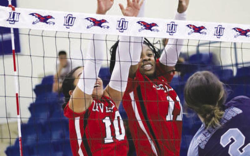 Loboettes fall 3-1, against Midland Greenwood Rangerettes