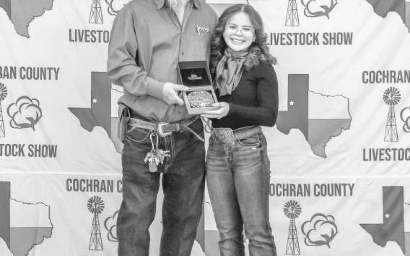 SENIOR LAMB SHOWMAN- Briley Siemens received a buckle for Senior Lamb Showman donated by Brylie, Bristol, Braxie Albus and presented by Billy Joe Roberts at the Cochran County Livestock Show in Morton. (Staff photo by Essence Childers)