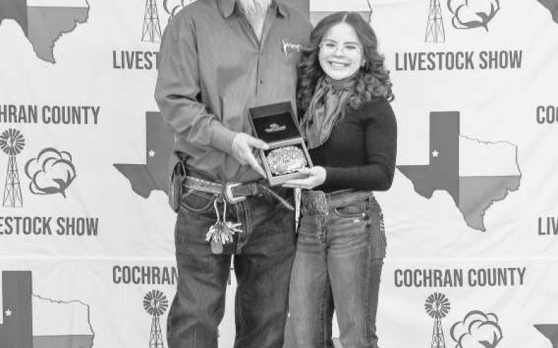 COCHRAN COUNTY LIVESTOCK SHOW- Briley Siemens with the WF FFA participated in the Cochran County Livestock Show at the County Show Barn in Morton. The sale and awards were held this past Saturday in Morton. (Staff photo by Essence Childers)
