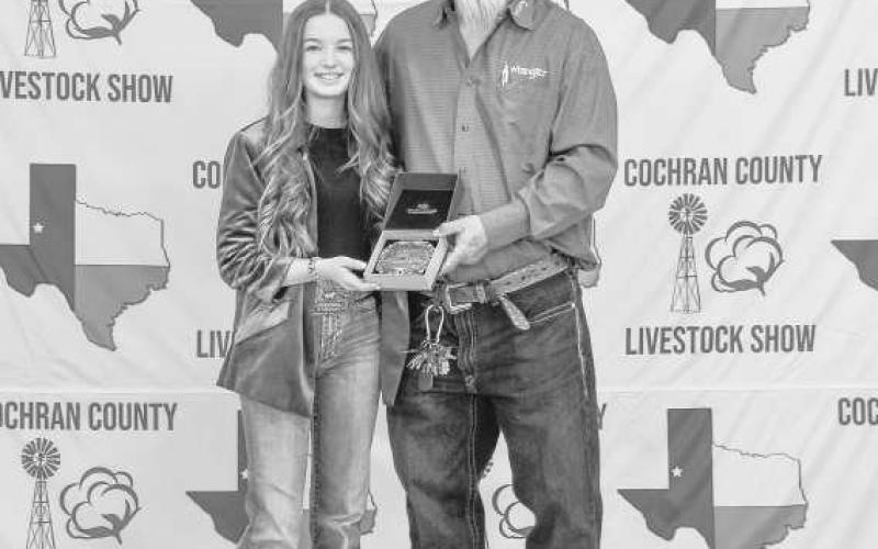 JUNIOR SWINE SHOWMAN- Landry Greshman was awarded a buckle for Junior Swine Showman donated by David and Susuan Lamb and presented by Billy Joe Roberts this past Saturday at the Cochran County Junior Livestock Show. (Staff photo by Essence Childers)