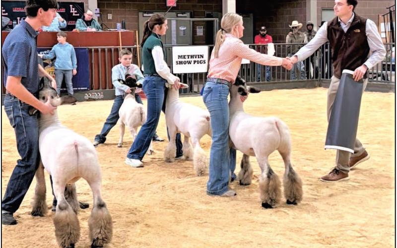 The Levelland FFA Chapter Livestock Show was held this past weekend to give school and local exhibitors a jumpstart in the show pen before the Hockley County Junior Stock Show this coming week. Charley King is shown winning the Grand Champion Lamb. Come out to Mallet Event Center to see all the local livestock exhibitors beginning on Tuesday. (Levelland FFA photo)