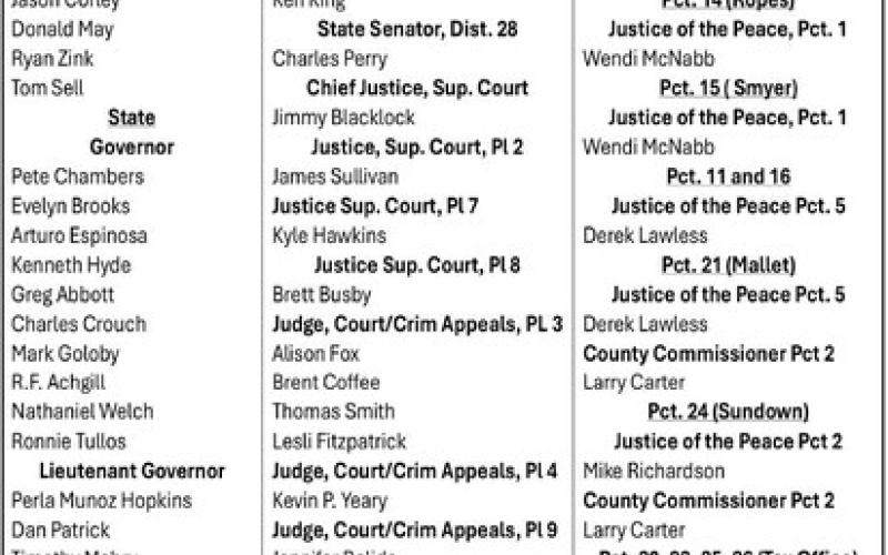 Hockley County political candidate biographies