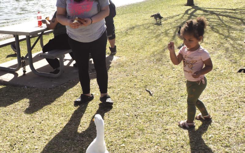 FEEDING THE DUCKS - On Wednesday at Brashear Lake Park little Emma was feeding the ducks and enjoying time with mom the ducks and the weather. They were enjoying Sping Break and the Spring like weather. Pictured is Mom Melinda Stofel and daughter Emma Stofel. (Staff photo by Emily Campos)