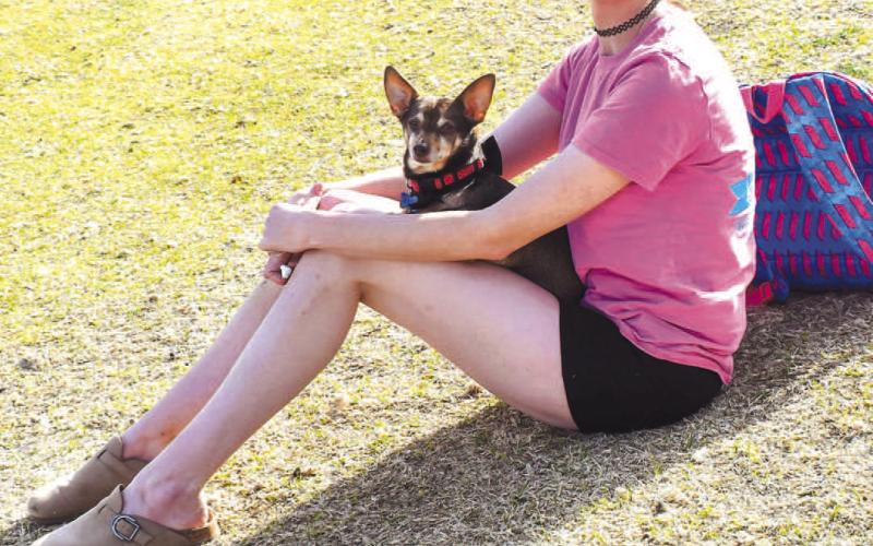 SPRING TIME - Nellie Burnett and her dog Bee used their Monday afternoon to soak up some sun light at Lobo Lake. Lobo Lake Park is made up of 11.5 acres and is located at Avenue H and 13th Street. The area includes a playground, picnic area, walking track, pavillian or amphitheater, fishing, a kayak launch and dock. (Staff photo by Emily Campos)