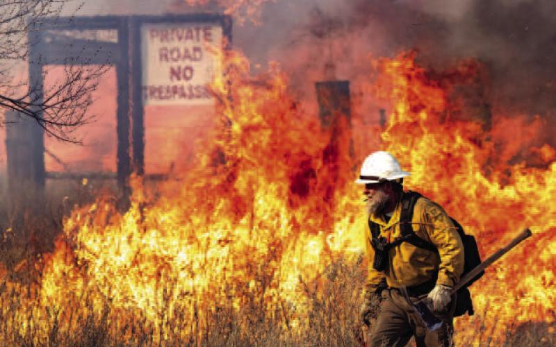 (Photo courtesy of Texas A M Forest Service)